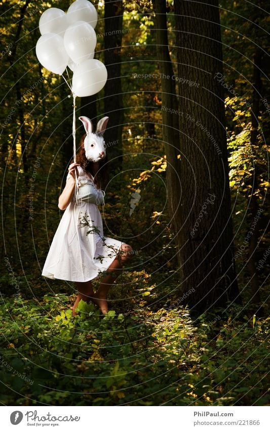 Follow the white rabbit II Feasts & Celebrations Carnival Feminine Young woman Youth (Young adults) 1 Human being Stage play Actor Environment Nature Forest
