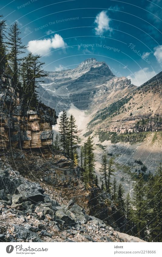 Mount Saddle and Lake Agnes. Photo taken in Banff National Park, Lifestyle Vacation & Travel Tourism Trip Adventure Mountain Hiking Nature Tree Rock Pelt