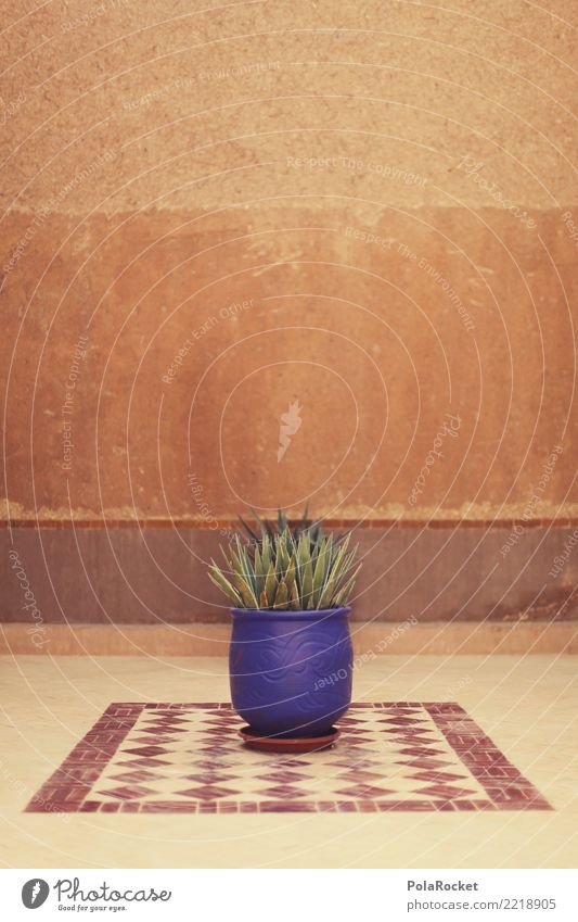 #A# Arabian pot plant Art Esthetic Pot plant Near and Middle East Morocco Marrakesh Blue Houseplant Colour photo Subdued colour Exterior shot Detail Deserted