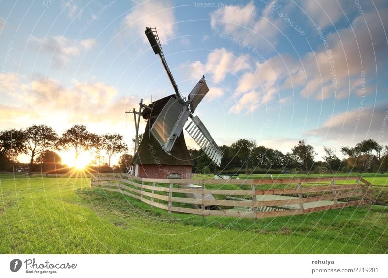 sunrise behind charming Dutch windmill on meadow Sun Nature Landscape Sky Clouds Sunrise Sunset Summer Beautiful weather Grass Meadow Field Building