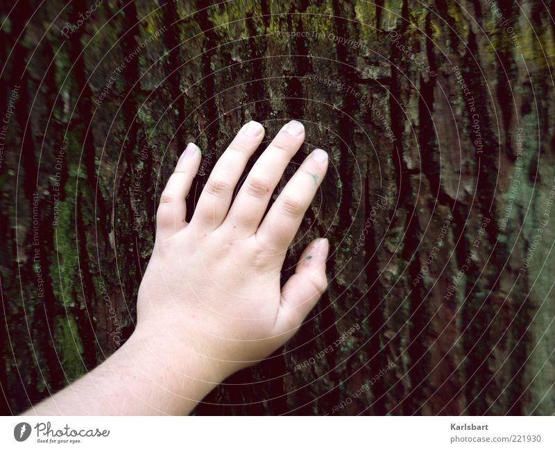 touch it. Lifestyle Well-being Relaxation Child Human being Toddler Infancy Hand Fingers Environment Nature Summer Tree Touch Emotions Experience Colour photo