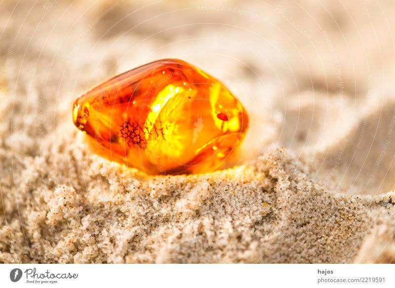 Amber at the Baltic Sea beach Alternative medicine Medication Beach Elements Sun Jewellery Stone Illuminate Yellow Eternity Sandy beach Resin Brilliant