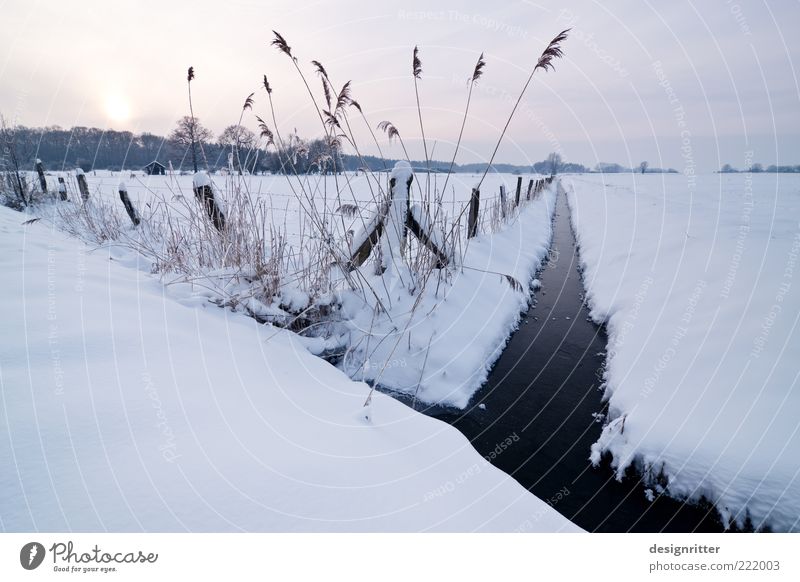 Cuddly Horizon Sun Sunrise Sunset Winter Climate Weather Ice Frost Snow Brook Water ditch Channel Cold Colour photo Exterior shot Deserted Copy Space left