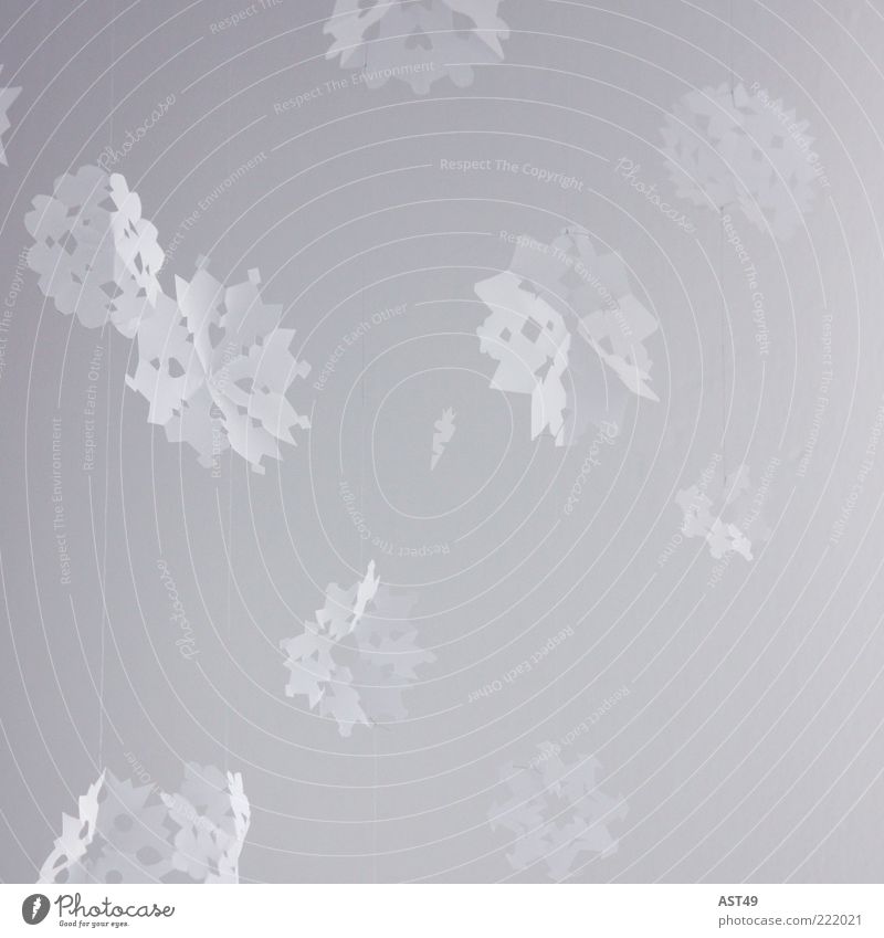 Paper Snowflakes Style Design Calm Winter Weather Ice Frost Snowfall To fall Freeze Esthetic Cold Beautiful Decoration Background picture Multicoloured
