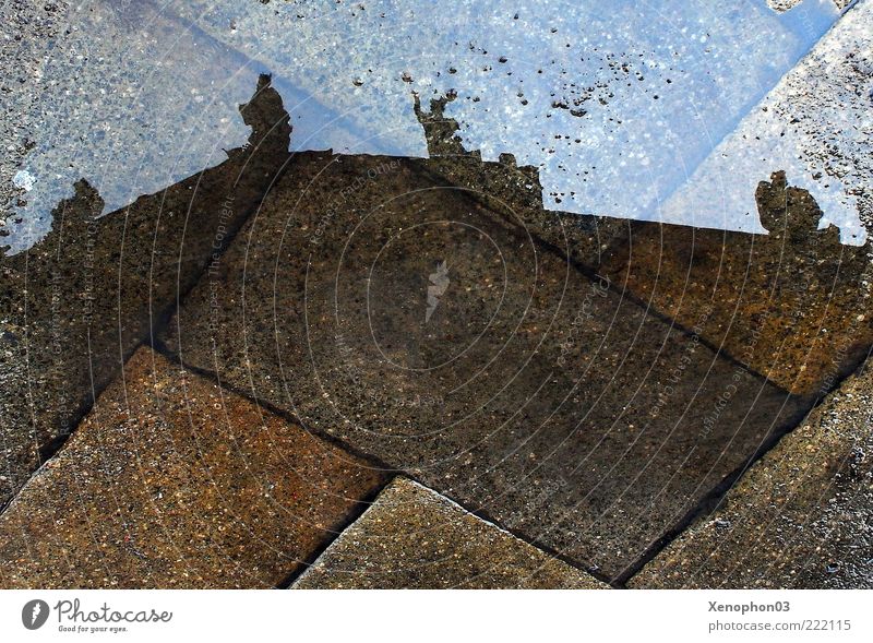 mirroring Sculpture Castle Architecture Facade Roof Transience Puddle Rain Perspective Paving stone Wet Damp Reflection Rectangle Baroque Roof ridge Gable