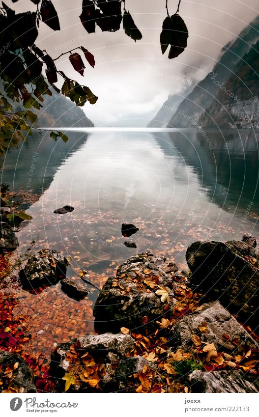 change Nature Landscape Water Clouds Autumn Beautiful weather Bad weather Leaf Mountain Lakeside Far-off places Near Green Calm Loneliness Uniqueness Power
