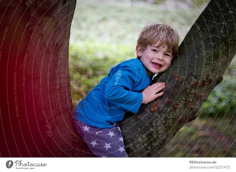 Toddler sitting in a tree Infancy Emotions Joy Cute Happy Happiness Joie de vivre (Vitality) Contentment Smiling Small Authentic Laughter Boy (child)