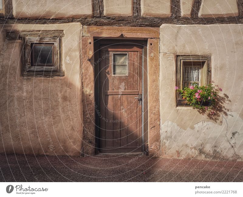 from the old stroke Flower Small Town Old town Deserted Building Architecture Facade Window Door Esthetic Authentic Friendliness Historic Original