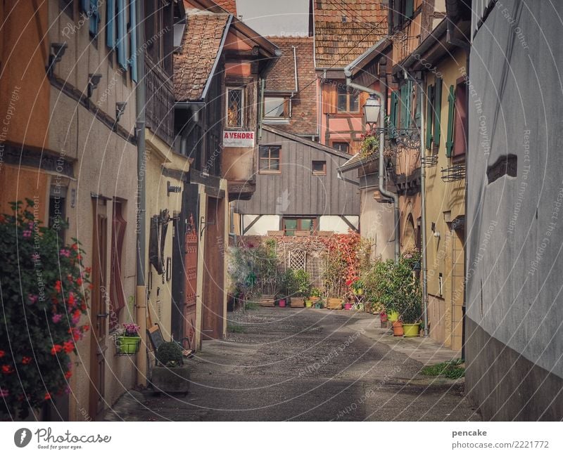 souvenirs d'eguisheim Old town Deserted House (Residential Structure) Architecture Tourism Past Lanes & trails Time Alsace Cozy Vintage Idyll France