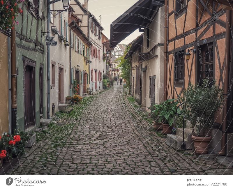 mutable eguisheim France Village Old town House (Residential Structure) Architecture Movement Discover Relaxation Vacation & Travel Idyll Half-timbered house