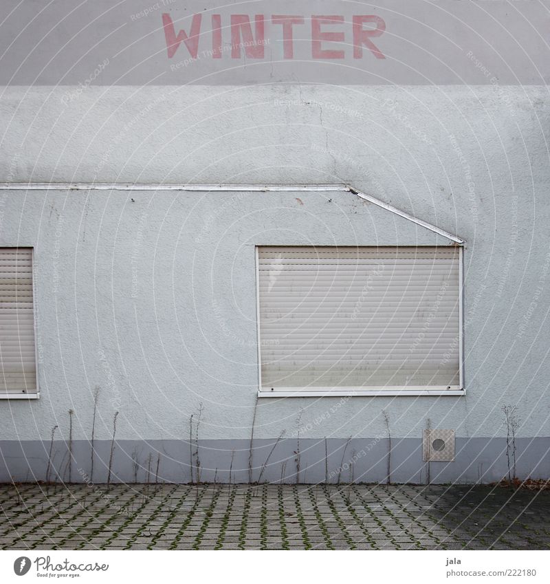 winter Manmade structures Building Architecture Wall (barrier) Wall (building) Facade Window Roller shutter Characters Gloomy Gray Winter Word Colour photo