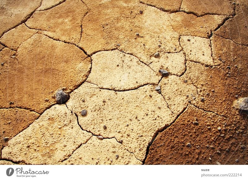 detour Environment Nature Landscape Earth Climate Climate change Drought Desert Dry Brown Loneliness Future Crack & Rip & Tear Sparse Colour photo