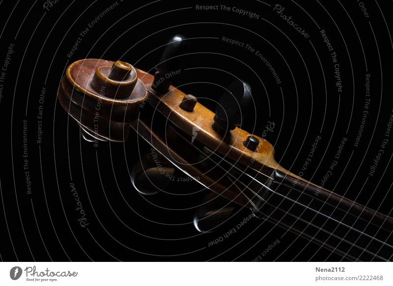 Violin 03 Art Music Listen to music Concert Outdoor festival Stage Opera Band Musician Orchestra Cello Make music Wood Crumpet Swirl String instrument