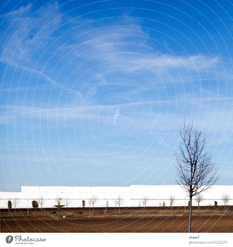 logistics center Trade Environment Nature Landscape Cloudless sky Sun Beautiful weather Tree House (Residential Structure) Industrial plant Factory Facade