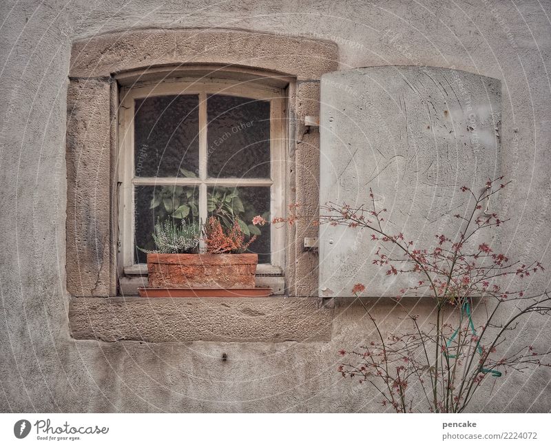 Leave | time to say goodbye Old town House (Residential Structure) Window Uniqueness Retro Gloomy Dry Town Secrecy Sadness Fatigue Loneliness Exhaustion Autumn