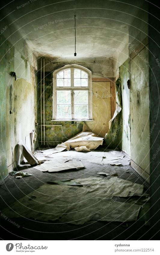 favourite room Wallpaper Room Wall (barrier) Wall (building) Window Uniqueness Apocalyptic sentiment Calm Stagnating Decline Past Transience Change Destruction