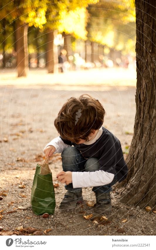 collecting passion Leisure and hobbies Child Boy (child) Infancy 1 Human being 3 - 8 years Tree Park Autumn Chestnut tree Collection Search Paper bag Crouch
