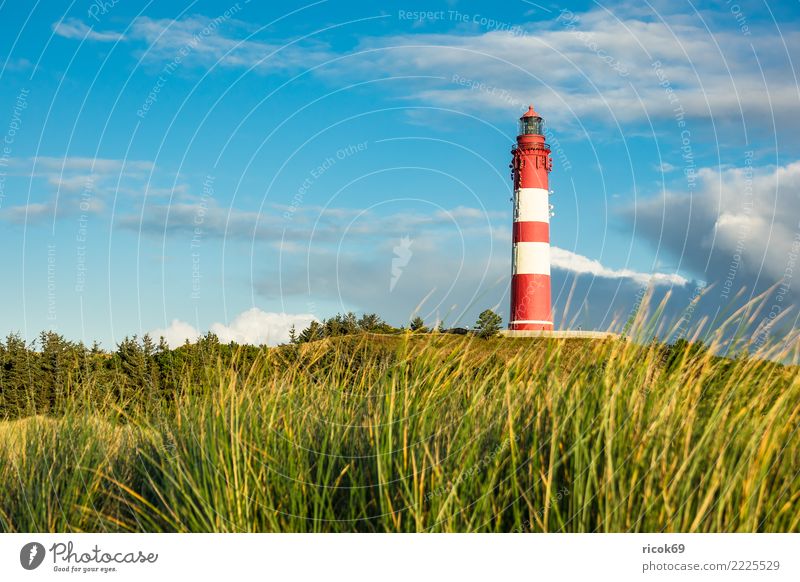 Lighthouse in Wittdün on the island Amrum Vacation & Travel Tourism Island Nature Landscape Clouds Autumn Coast North Sea Architecture Tourist Attraction
