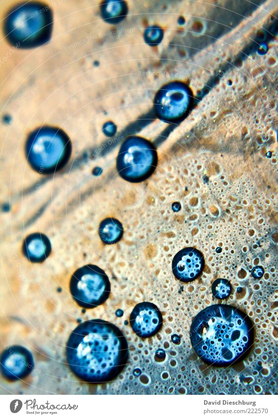 Blue pearls III Water Drops of water Rain Gold Light blue Wet Damp Dew Covers (Construction) Structures and shapes Surface Watertight Weather protection