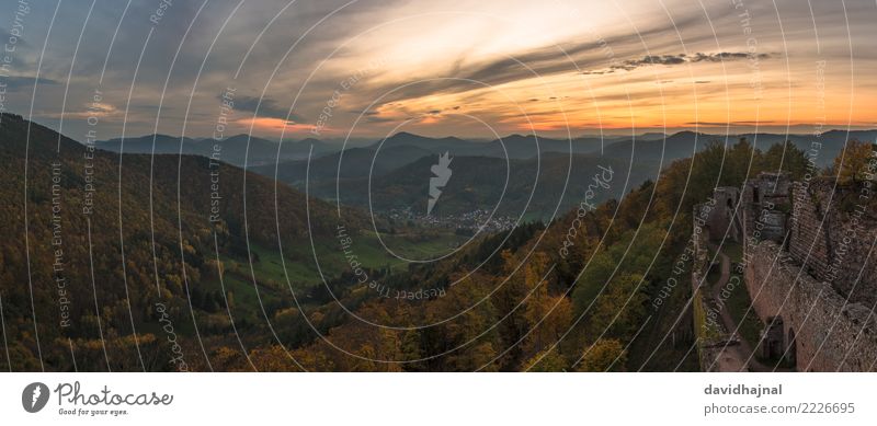 Palatinate Forest Tourism Sightseeing Hiking Nature Landscape Sky Clouds Horizon Autumn Weather Fog Plant Tree Hill Rock Mountain Peak Palatinate forest