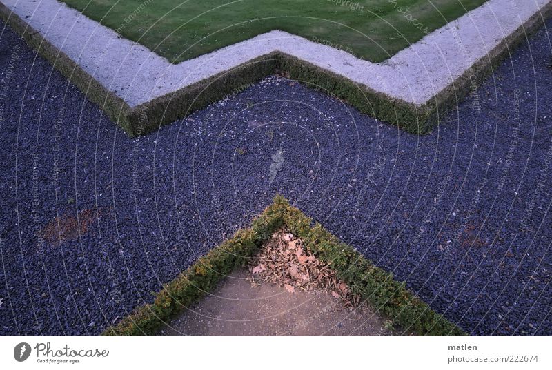 demarcation Sand Dry Multicoloured Contentment Leaf Sunbeam Gravel Hedge Meadow Lawn Subdued colour Exterior shot Detail Pattern Structures and shapes