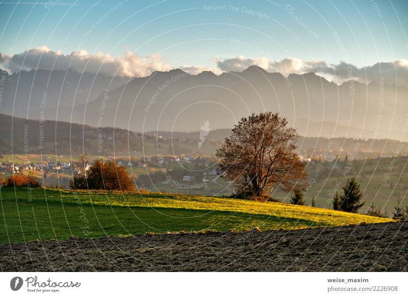 Beautiful autumn sunny evening panorama. Tatras mountains Vacation & Travel Tourism Trip Adventure Summer Mountain Hiking Nature Landscape Clouds Autumn