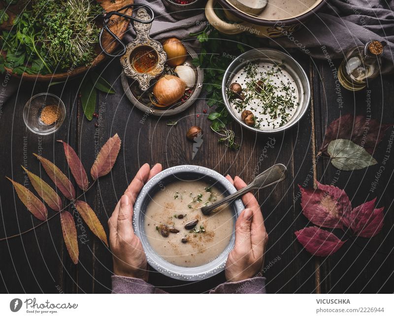 Hands holding bowl of chestnut soup Food Soup Stew Herbs and spices Lunch Banquet Organic produce Vegetarian diet Diet Bowl Spoon Design Healthy Eating Winter