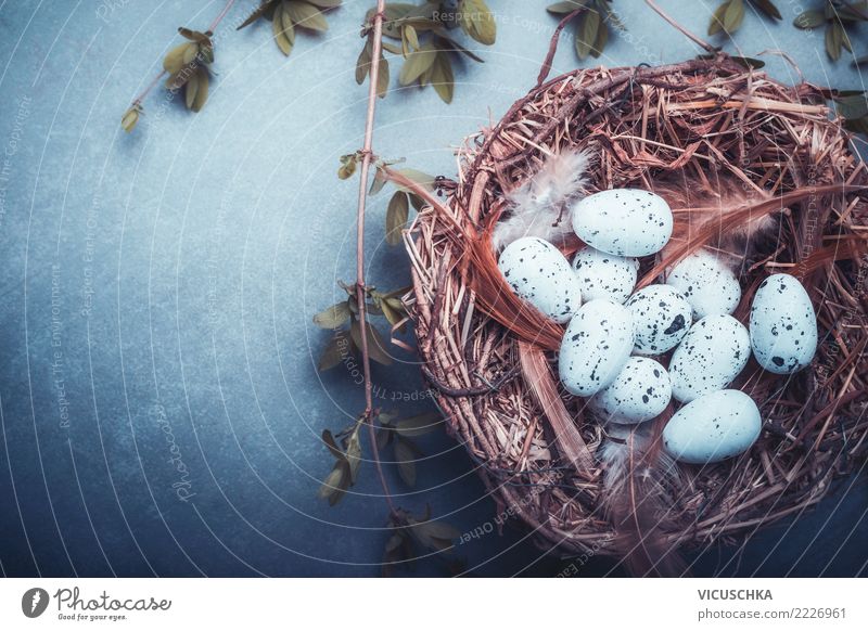 Easter nest with eggs Style Design Joy Decoration Feasts & Celebrations Nature Tradition Background picture Nest Symbols and metaphors Text Egg Bird's egg Eyrie