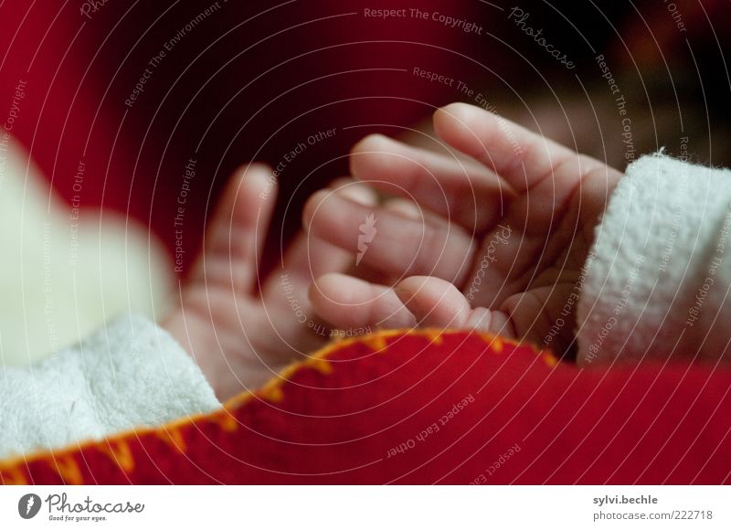There's nothing to see here! Human being Child Baby Infancy Life Hand Fingers Touch Relaxation Lie Sleep Small Red White Delicate Protective Wrinkle Skin