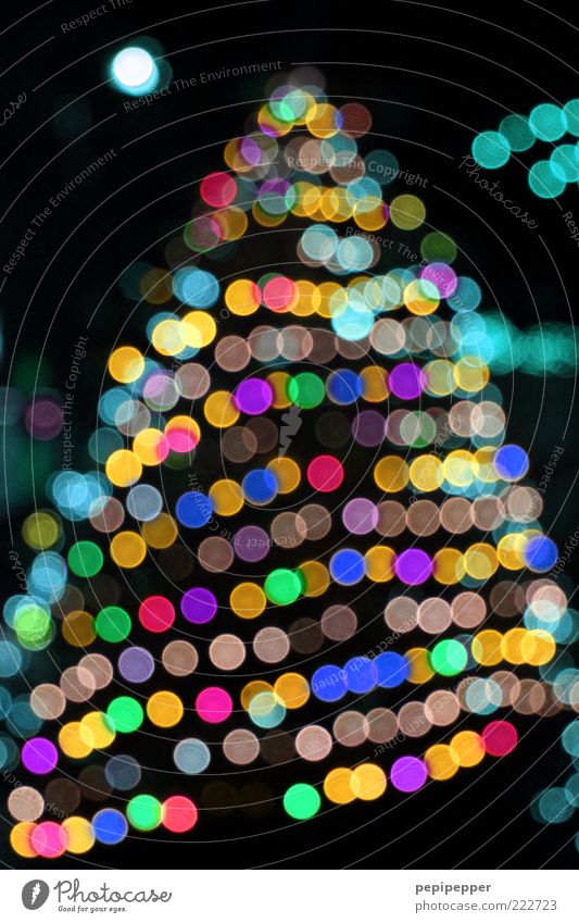 kitsch Winter Tree Multicoloured Fir tree Christmas & Advent Colour photo Exterior shot Detail Evening Night Light Contrast Reflection