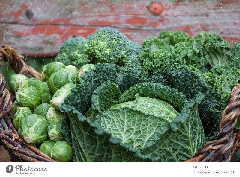 the healthiest green cabbage varieties in the basket Food Vegetable Lettuce Salad Brussels sprouts Savoy cabbage Cabbage Kale Kale leaf Broccoli Nutrition