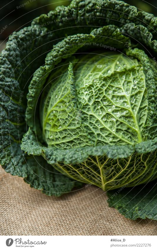 savoy cabbage Food Vegetable Lettuce Salad Cabbage Savoy cabbage Nutrition Organic produce Vegetarian diet Diet Lifestyle Healthy Fitness Winter Nature