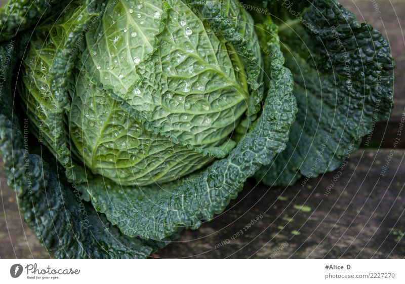 savoy cabbage Food Vegetable Lettuce Salad Cabbage Savoy cabbage Nutrition Organic produce Vegetarian diet Diet Fasting Lifestyle Healthy Eating Winter Nature