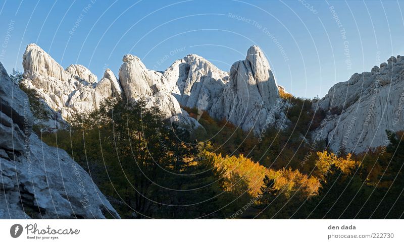 Bojinac in Croatia / Velebit Vacation & Travel Trip Far-off places Freedom Mountain Nature Landscape Cloudless sky Autumn Beautiful weather Forest Peak Canyon