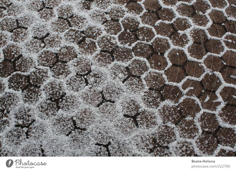 snow honeycombs Stone Gray White Symmetry Winter festival Winter's day non-slip Honeycomb pattern honeycomb technique Snow Pattern Floor covering Paving tiles