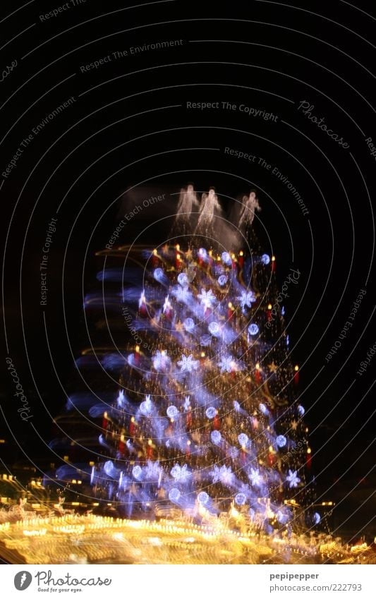 biggest christmas tree in the world Ornament Vacation & Travel Christmas & Advent Colour photo Exterior shot Experimental Abstract Pattern Structures and shapes