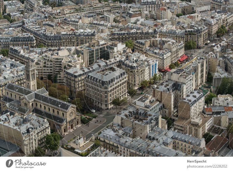 Paris from above Vacation & Travel Tourism Trip Sightseeing City trip Montparnasse Capital city Downtown Old town Pedestrian precinct Populated