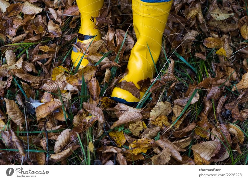 rubber boots, autumn leaves Hiking Human being Feet 1 Nature Autumn Bad weather Rain Grass Leaf Garden Park Meadow Forest Clothing Workwear Footwear Boots
