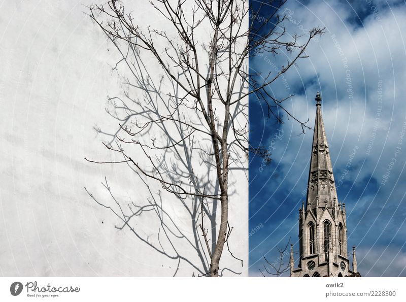 Merseburg Sky Clouds Spring Beautiful weather Tree Twigs and branches merseburg Saxony-Anhalt Germany Small Town Old town Populated Church Manmade structures