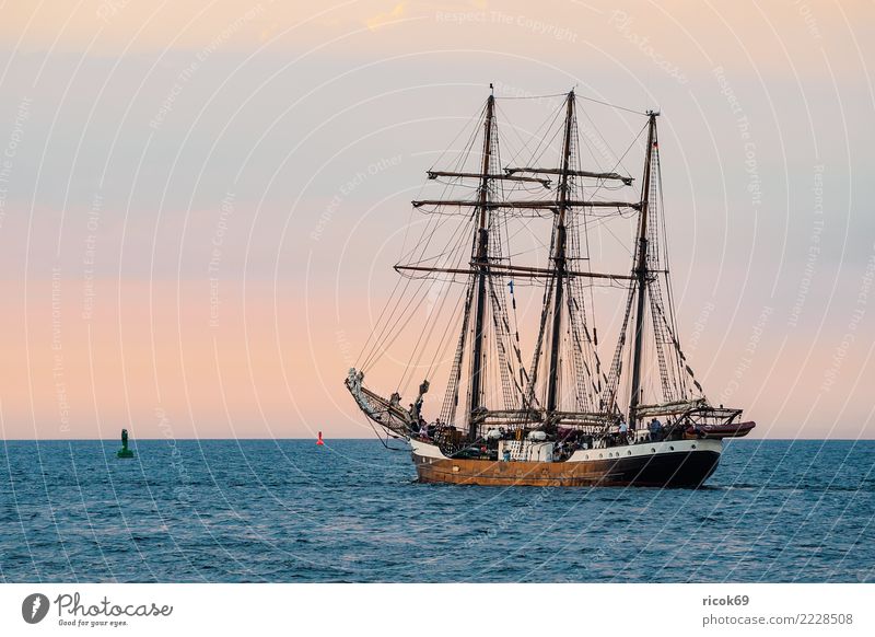 Sailing ship at the Hanse Sail in Rostock Relaxation Vacation & Travel Tourism Water Coast Baltic Sea Navigation Maritime Romance Idyll Nostalgia Tradition