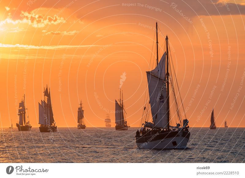 Sailing ships on the Hanse Sail in Rostock Relaxation Vacation & Travel Tourism Water Clouds Coast Baltic Sea Navigation Maritime Romance Idyll Nostalgia