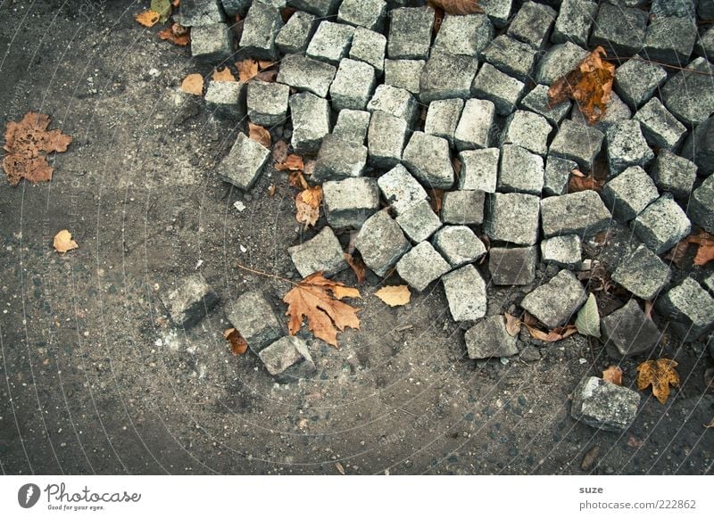 the stones Construction site Environment Earth Autumn Lanes & trails Stone Sharp-edged Broken Gray Chaos Arrangement Paving stone Cobblestones Ground