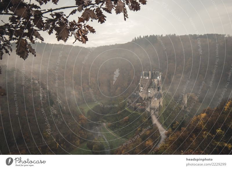 Castle Eltz surrounded by fog & forest in autumn Hiking Nature Landscape Clouds Autumn Wind Fog Forest Mountain Germany Dark Creepy Cold Sadness Fear