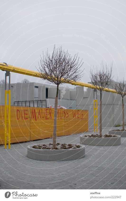 THE WALL _ _ _ _ _ _ _ G Autumn Winter Tree Munich House (Residential Structure) Wall (barrier) Wall (building) Concrete Gloomy Yellow Gray Colour photo