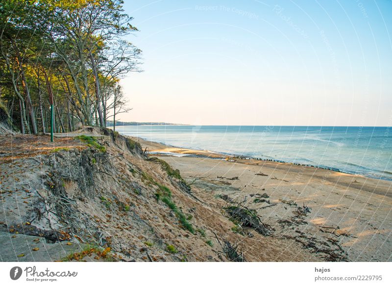 Baltic Sea beach in Orzechowo, Poland Leisure and hobbies Vacation & Travel Summer Beach Ocean Clouds Tree Reef Wild Blue Loneliness Idyll Sandy beach dunes