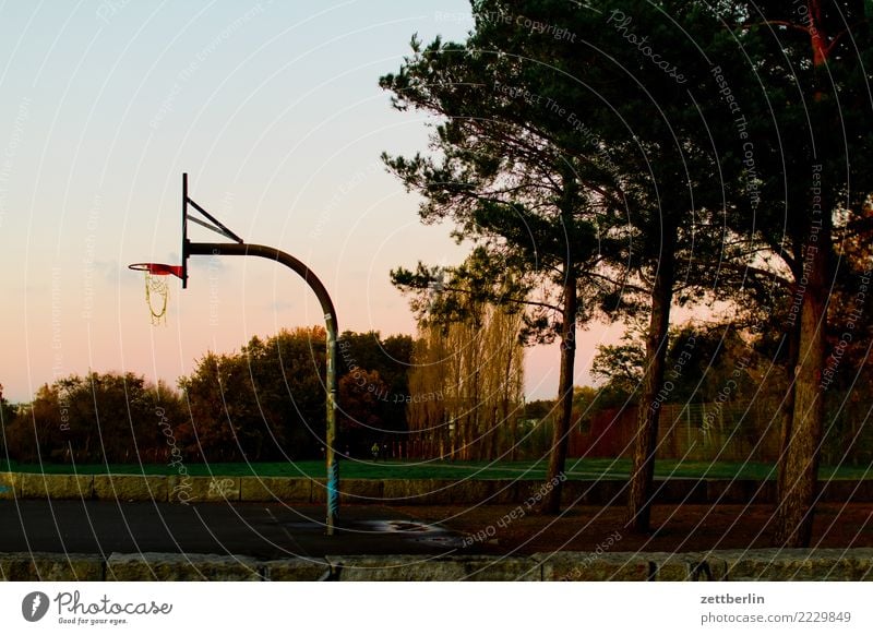 Basketball court in Baluschekpark Ball sports baluschekpark Basketball basket Berlin Twilight Sky Heaven Park Schöneberg Playing Sports Autumn Evening