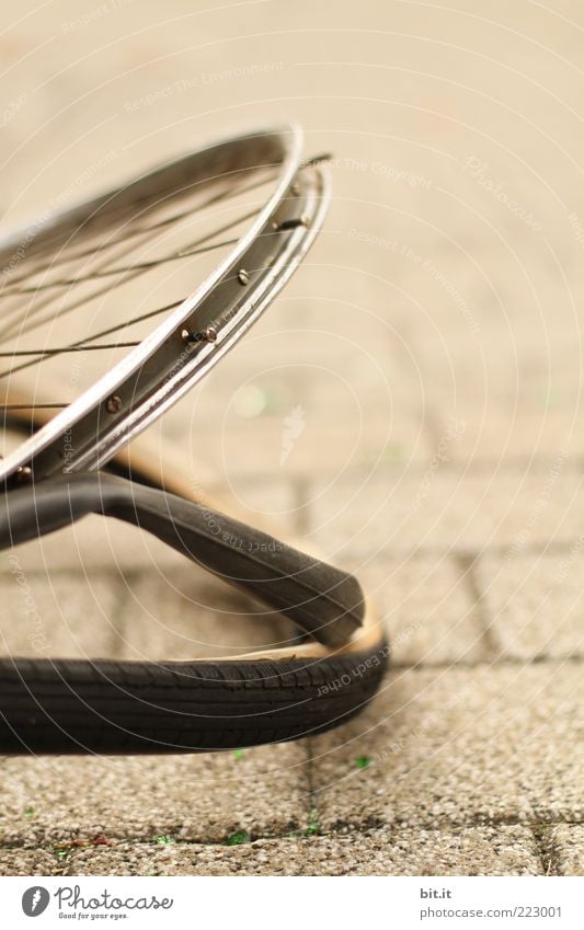 rim circle Bicycle Broken Brown Safety Protection Dangerous furious Revenge Aggression Force End Frustration Transience Insurance Destruction damages Accident