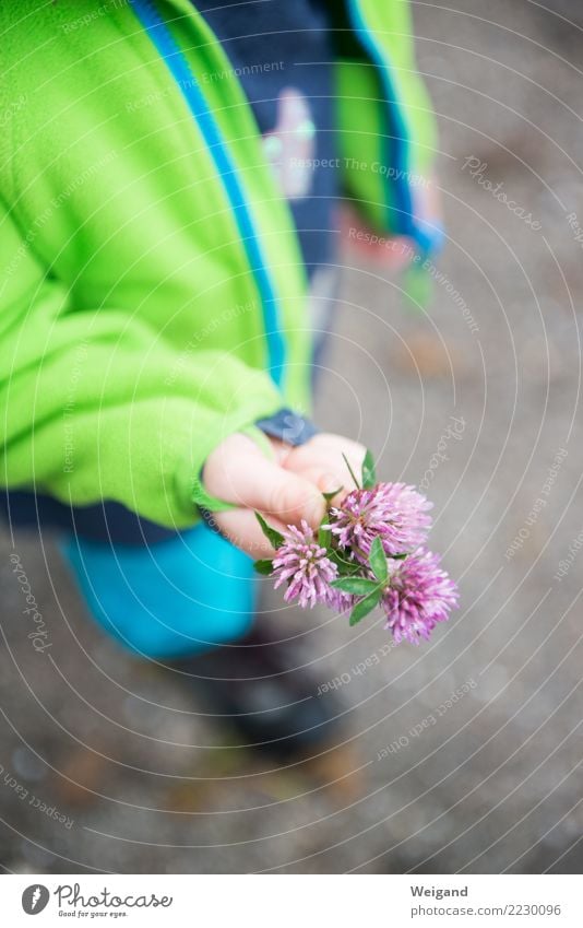 meadow find Senses Calm Meditation Parenting Kindergarten Child Schoolchild Girl Boy (child) Brothers and sisters Sister Infancy Hand 1 Human being Collection