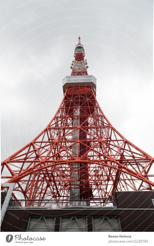 Wanderlust, Tokyo Tower calling! Lifestyle Vacation & Travel Tourism Trip Adventure Far-off places Freedom Sightseeing City trip Technology Environment Sky