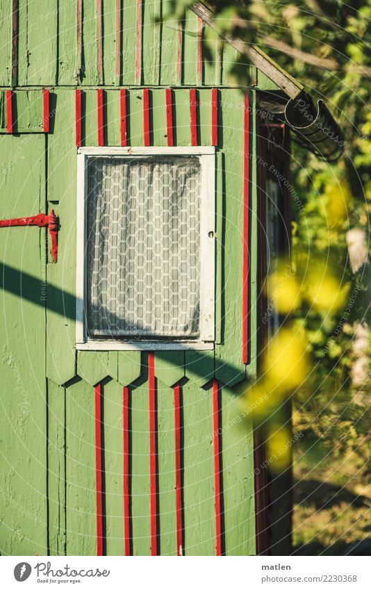 summer cottage Plant Autumn Beautiful weather Tree Deserted Hut Yellow Green Red White Window Gardenhouse Colour photo Exterior shot Close-up Pattern